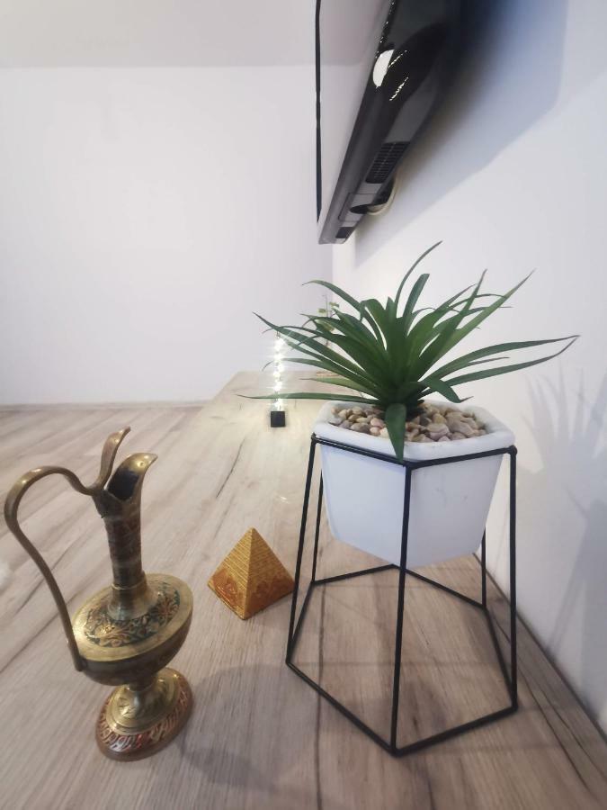 Youth Central Apartment Târgu-Mureş 외부 사진